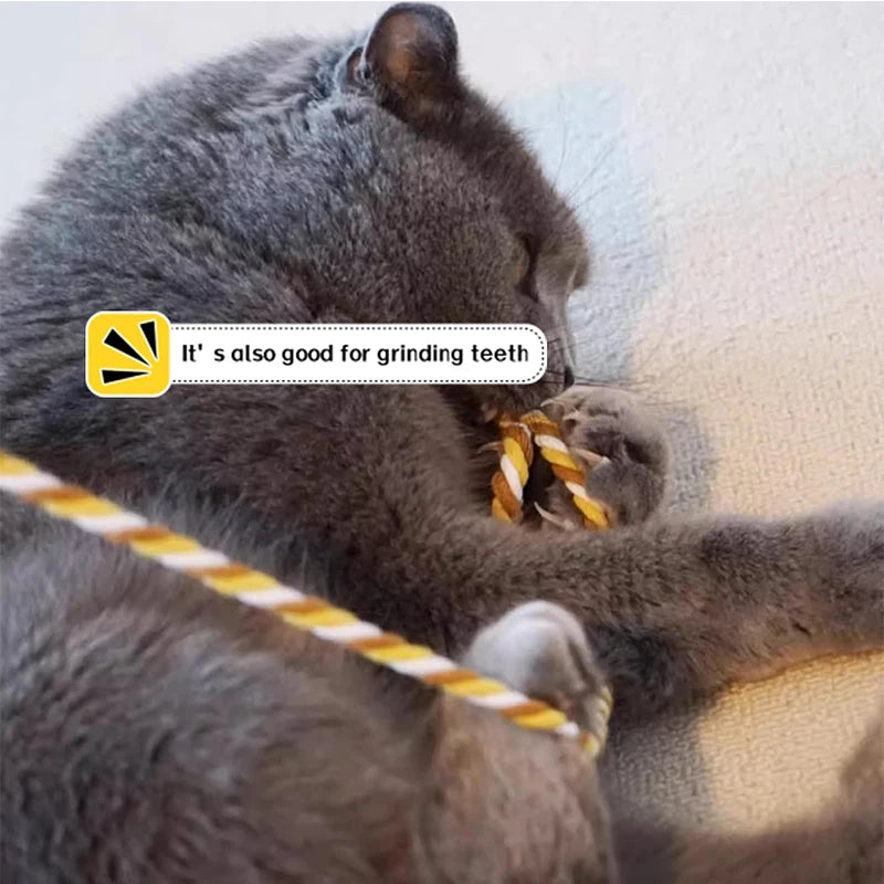 Interactive Cat Teaser Wand